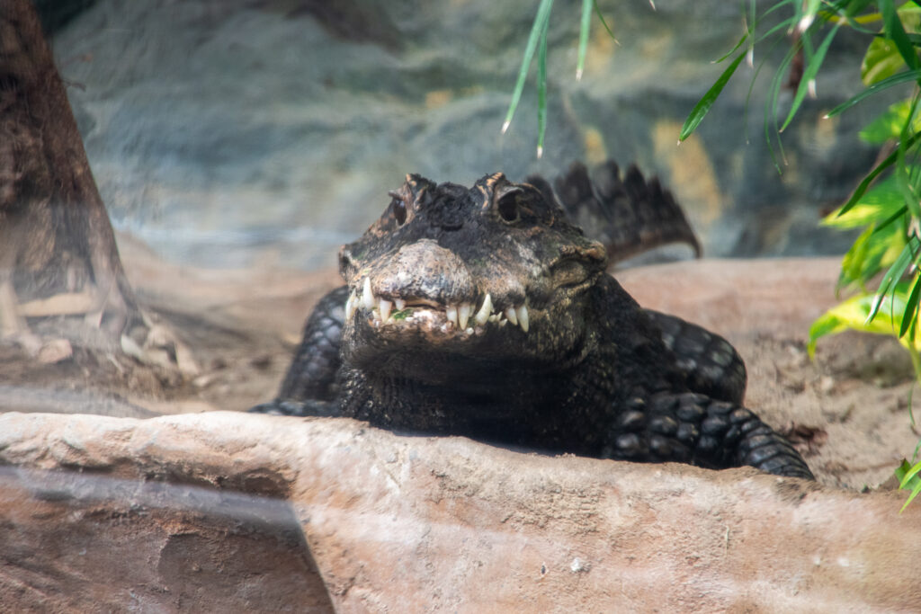 『一歩ずつ』
少しずつ少しずつ、着実に。
