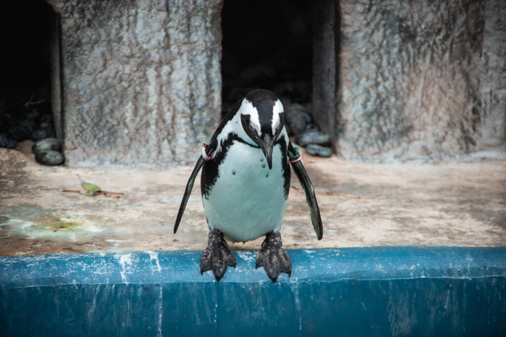 番外編。
『挑戦と挫折』の一枚を再編集しました。
こっちの方が映画っぽいかな。